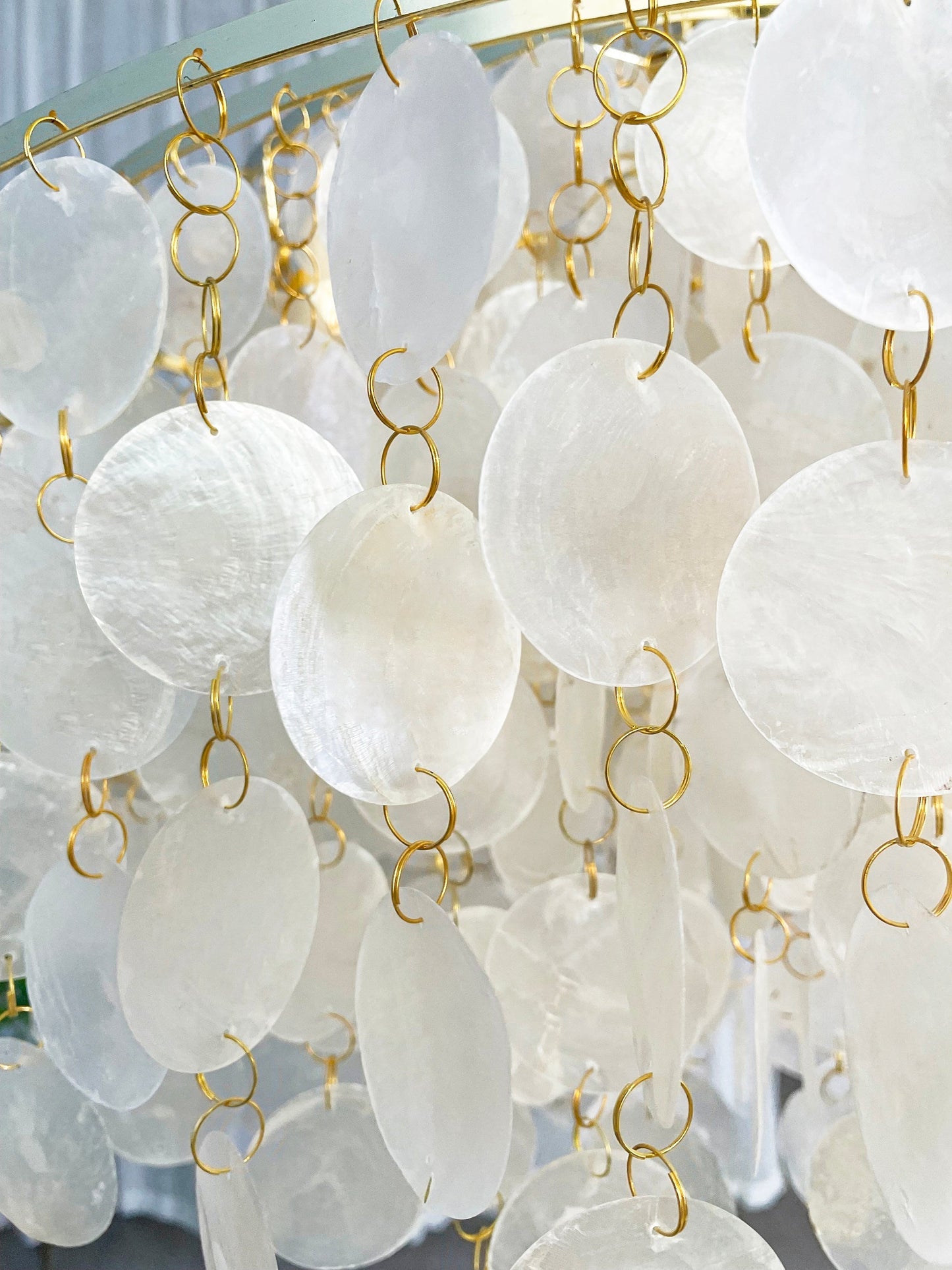 Shell Pendant Light