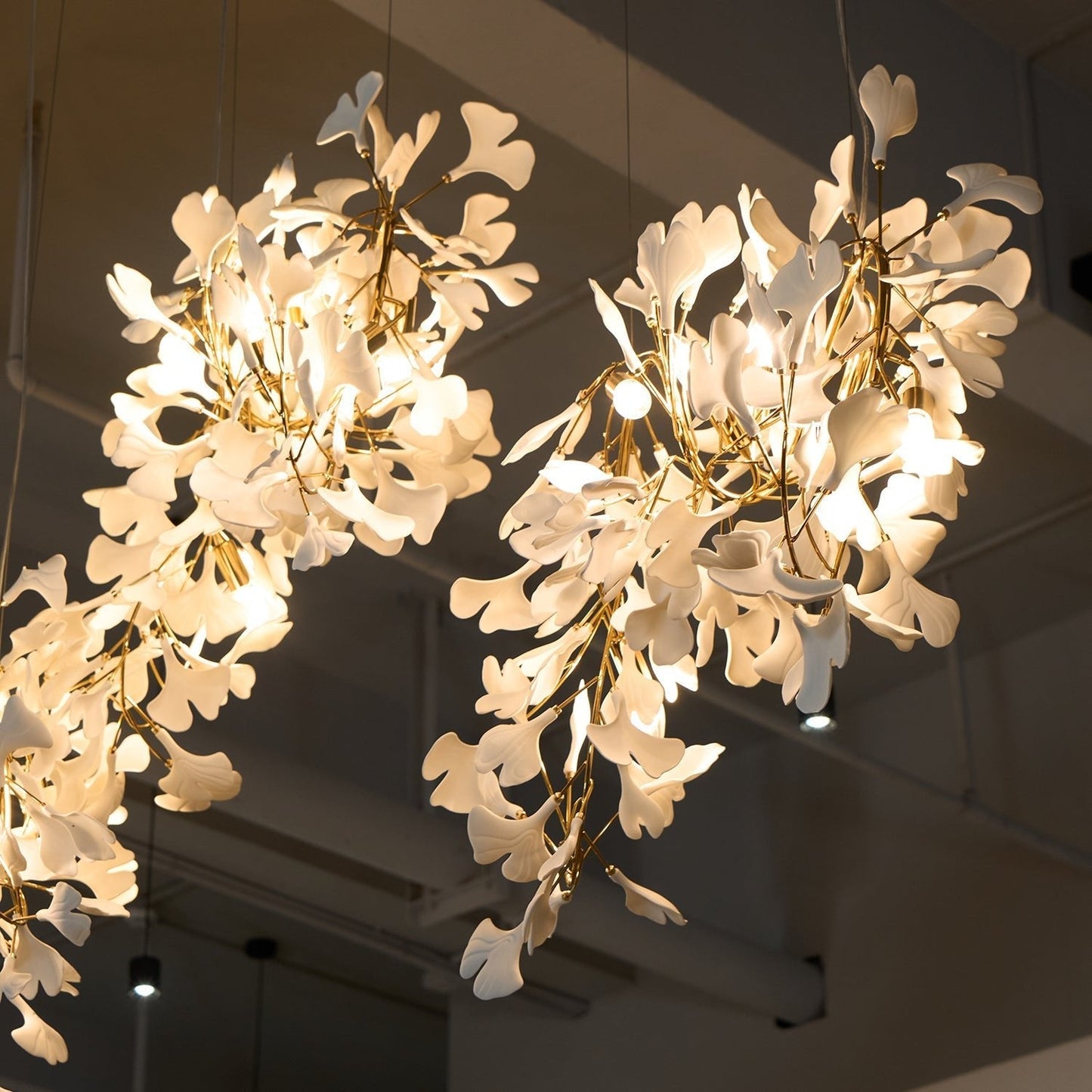 Gingko Chandelier C